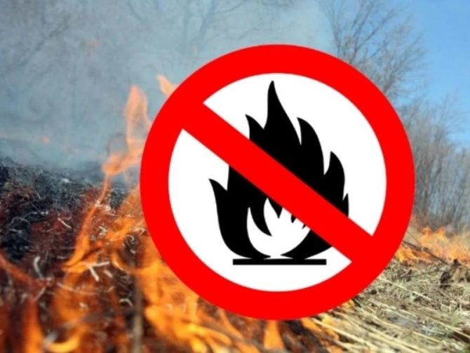 В лесах Пермского края установлен особый противопожарный режим